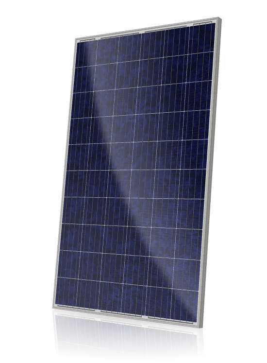 Solar Module CS6P-P